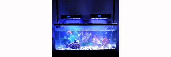 LED-Aquarium- und Wachstums-Lampen