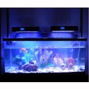 Aquarium Lampe LED 240W mit Zeit-und Programmsteuerung...